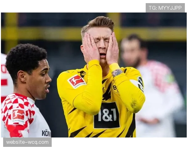 德甲官方应用程序下载量突破一亿次,付费订阅用户增长率环比下降 德甲官方应用程序下载量突破一亿次,付费订阅用户增长率环比下降