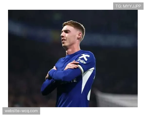 纽卡斯尔考虑出售维萨，引援目标锁定切尔西前锋杰克逊